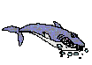 Swimming_Shark.gif (19521 bytes)